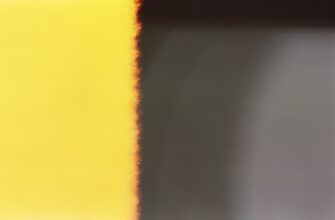 sid frazu bezopasno luchshie praktiki