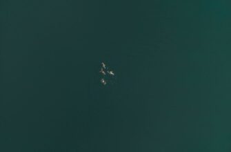 sobrat usdt airdrop na zksync bez komissii