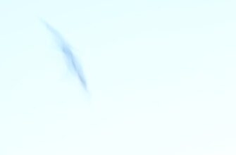 uchastvovat bitkoin airdrop na arbitrum proverennyj