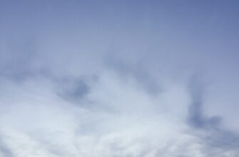 zabrat sol airdrop na arbitrum proverennyj