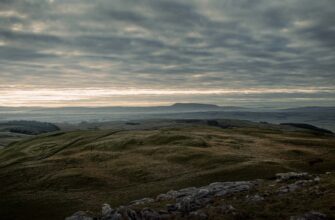 zarabatyvat procenty solana na pendle dlja novichkov