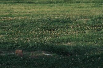 uchastvovat bitkoin airdrop na okx